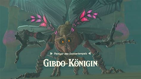 gibdo königin|Zelda: Tears Of The Kingdom